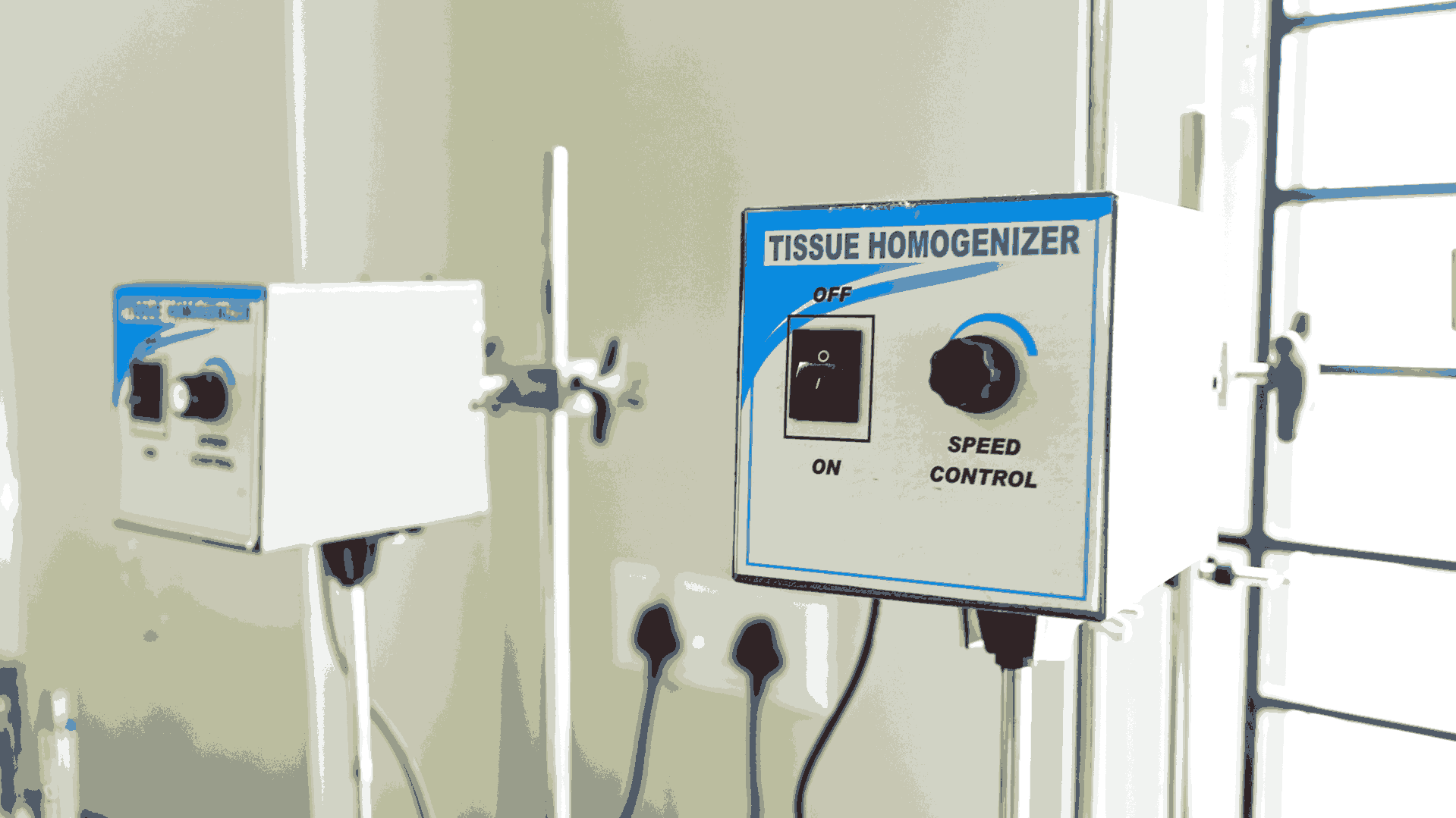 Pragjyotishpur University Guwahati Pharmacology lab photo 11